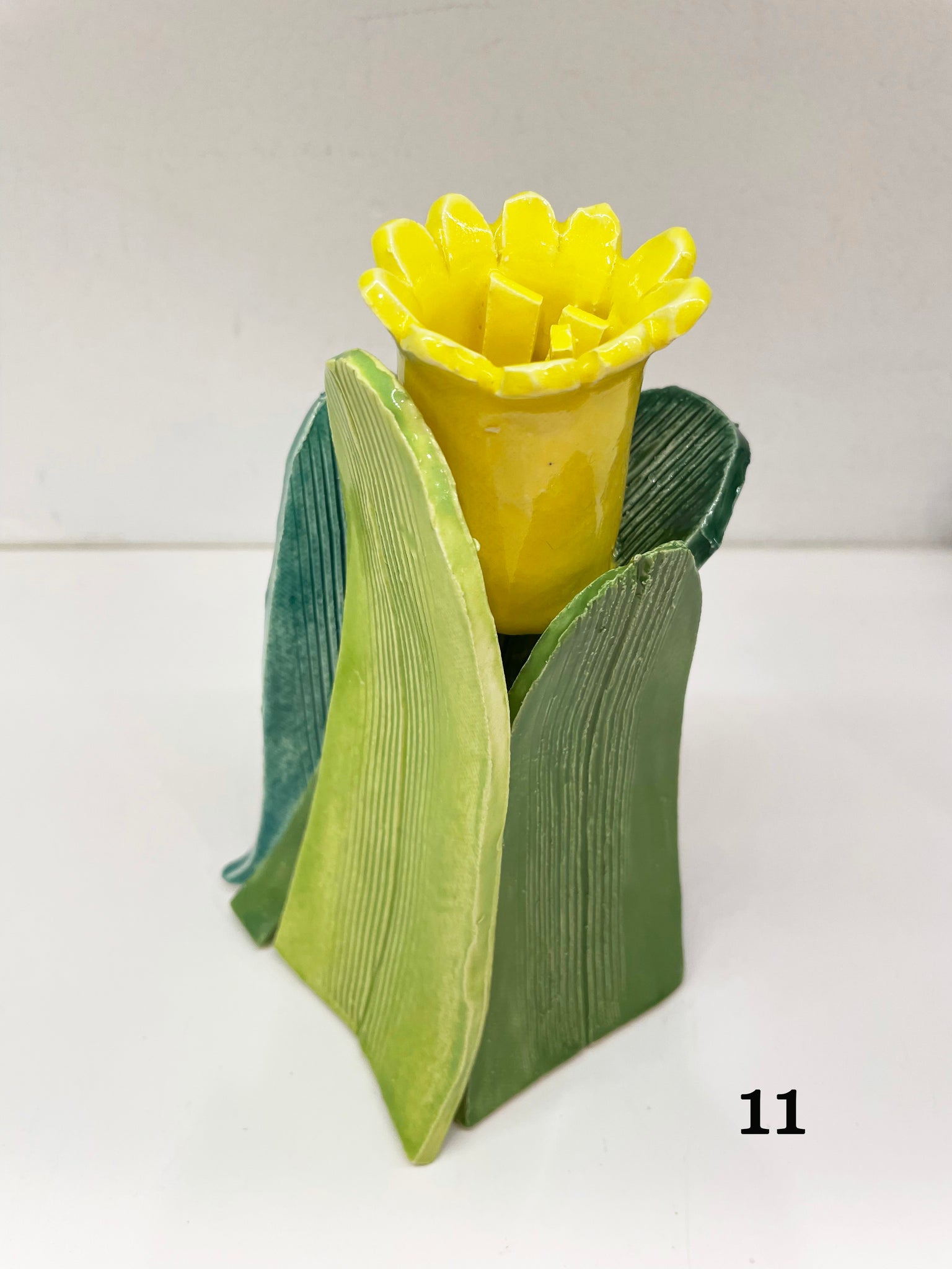 Daffodils, 2021