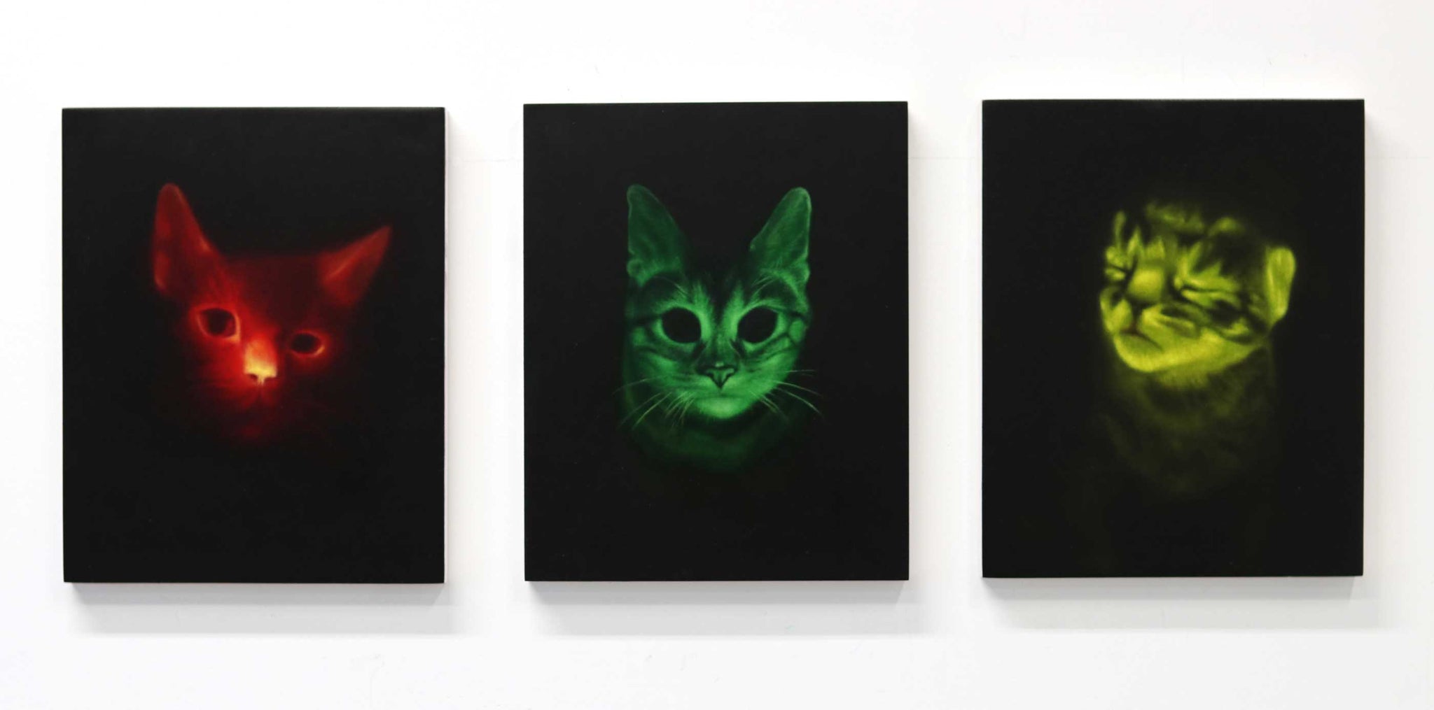 Three Genetically Engineered Cats (Red, Green, Yellow-Green), 2020